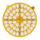 Brinsea Maxi 48 EX thumbnail