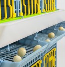 Oppsamling av egg thumbnail