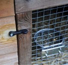 Dørstenger thumbnail