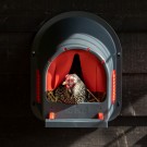 MyCozyNest thumbnail