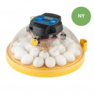 Brinsea Maxi 24 Advance thumbnail