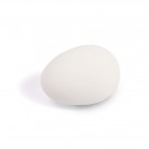 Kunstige egg, høns  thumbnail
