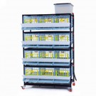 Cimuka vaktelreol 3x4  thumbnail