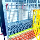 Drikkeskåler med nippel thumbnail