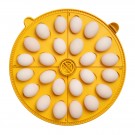 Brinsea Maxi 48 EX thumbnail