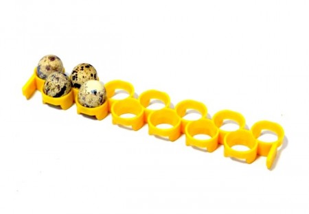 Vaktel eggbakker til Cimuka Prodi rugemaskiner