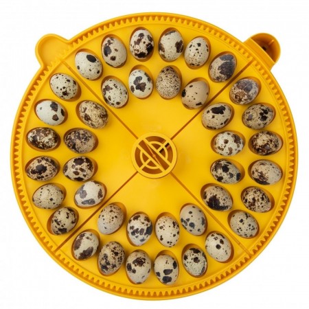 Brinsea Maxi eggkvadranter til små egg