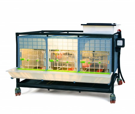 Cimuka varmereoler store raser