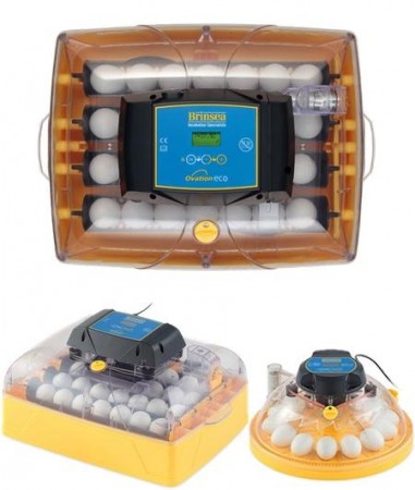 Brinsea rugemaskiner