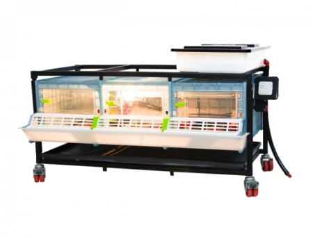 Cimuka varmereoler små raser