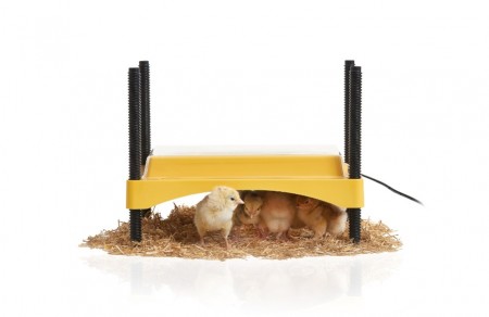 Brinsea EcoGlow Safety 600