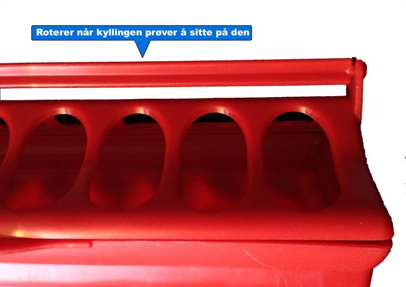 Hindrer at kyllingene skiter i foret.