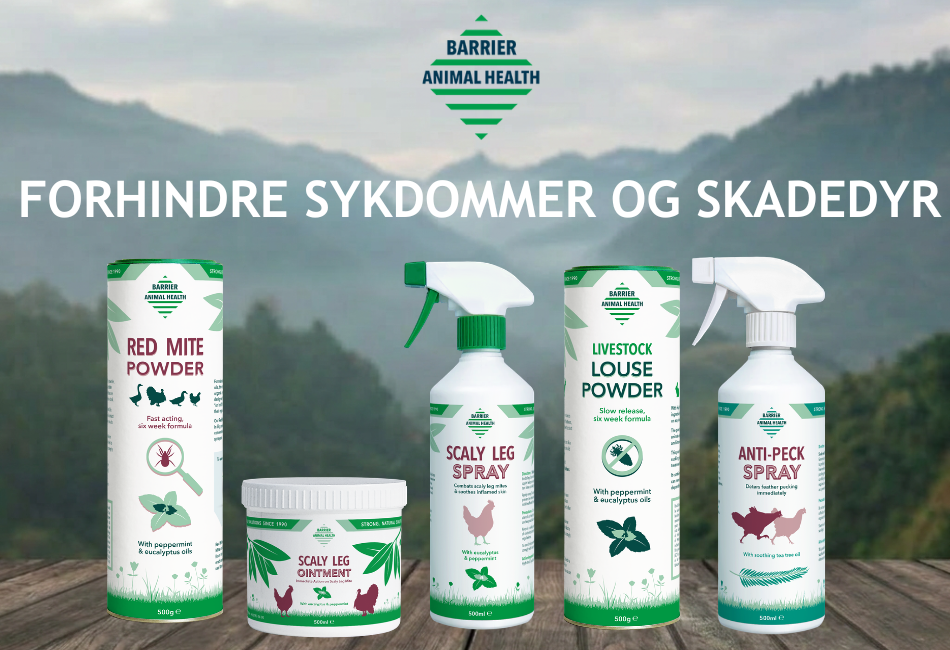 Forebygg sykdom og skadedyr