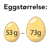 eggstorrelse1